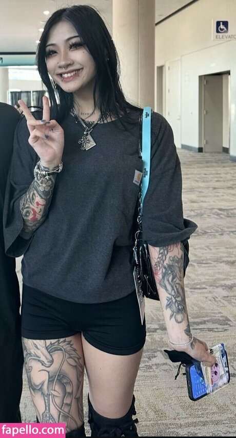 eggspringroll star top picture