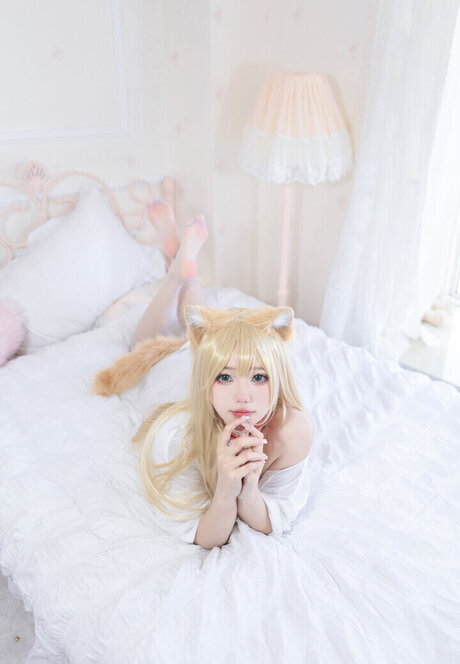 Yaokoututu star pretty photo