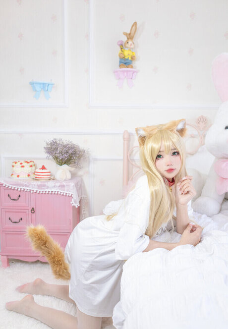 Yaokoututu star top photos