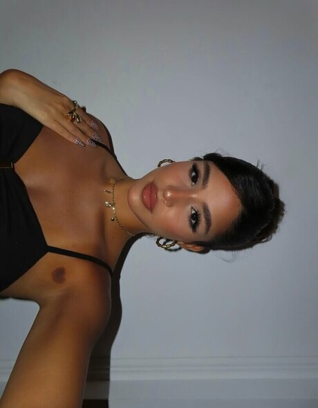 Roni Danino art star images