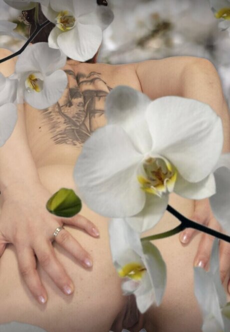 Dot Addams erotic star pictures