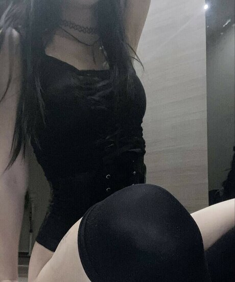 meowmeowcatlover Profile pic