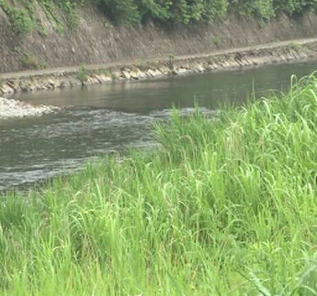 Ryo Ayumi nudes pornstar picture