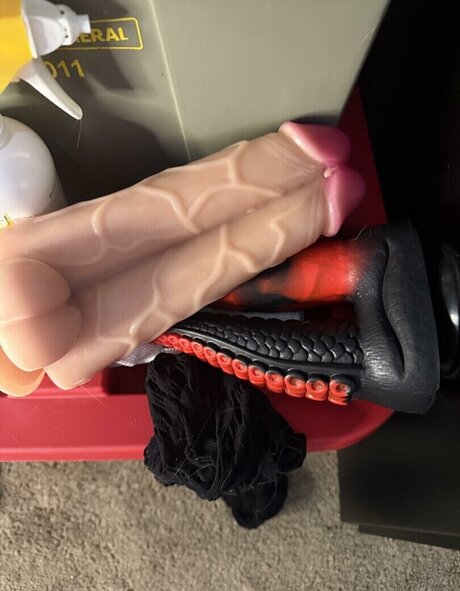 Heidi Cummin actress picture