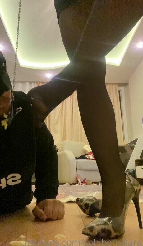 sahibendilara free actress picture