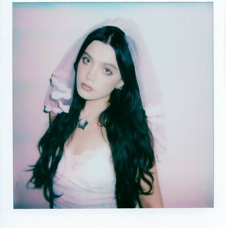 Alessi Rose hot actress pic