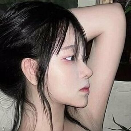 Foamharin star perfect galleries