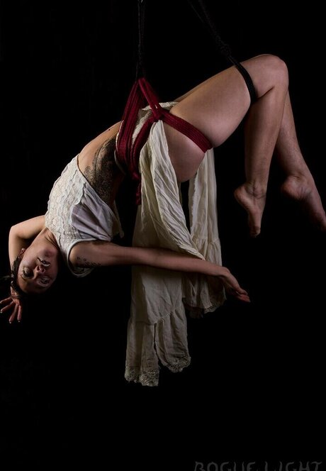 Space11kitten star nudes img