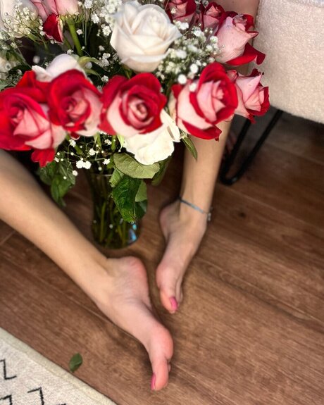 MissHazedFeet pornstar xxx photos