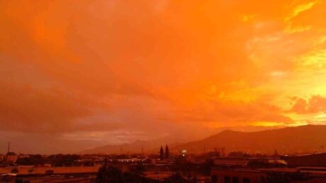 sami high quality actress picture