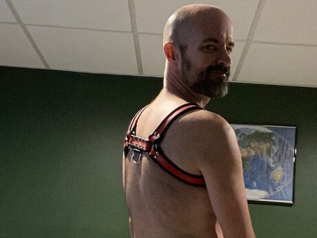 The Dog star art pictures