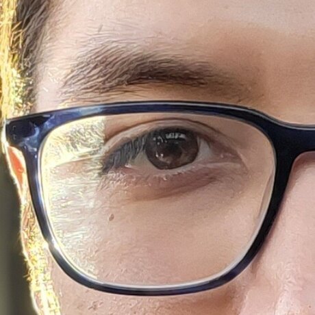 Owner of a slave Pig wife art model pictures