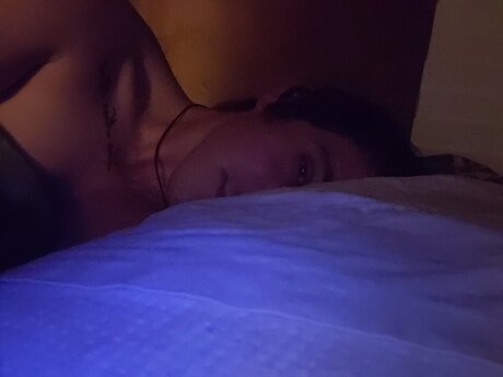 WildcardWest model galleries