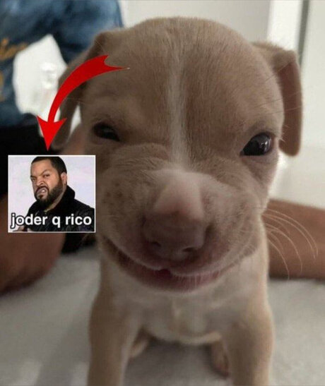 Mar29 sex model photo