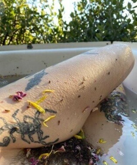 Aralia Hunt art actress photos