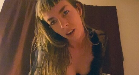 Aralia Hunt star free photo