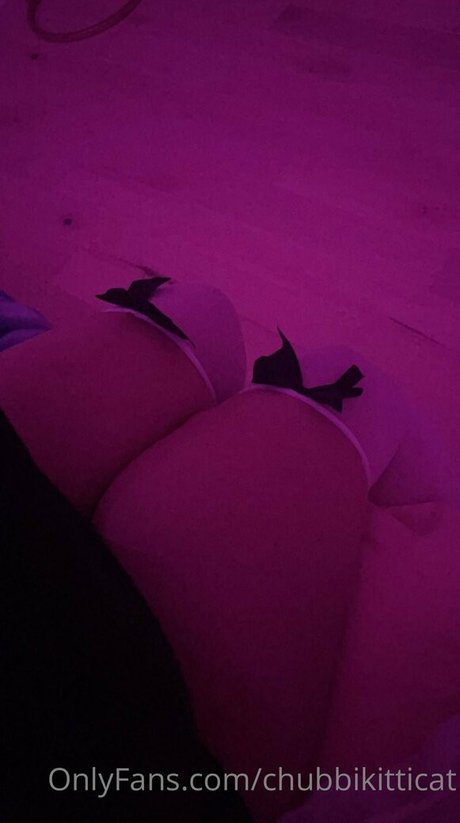 Chubbikitticat pornstar free image