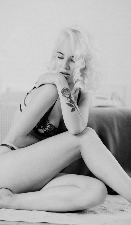 ostudio space sexy star gallery