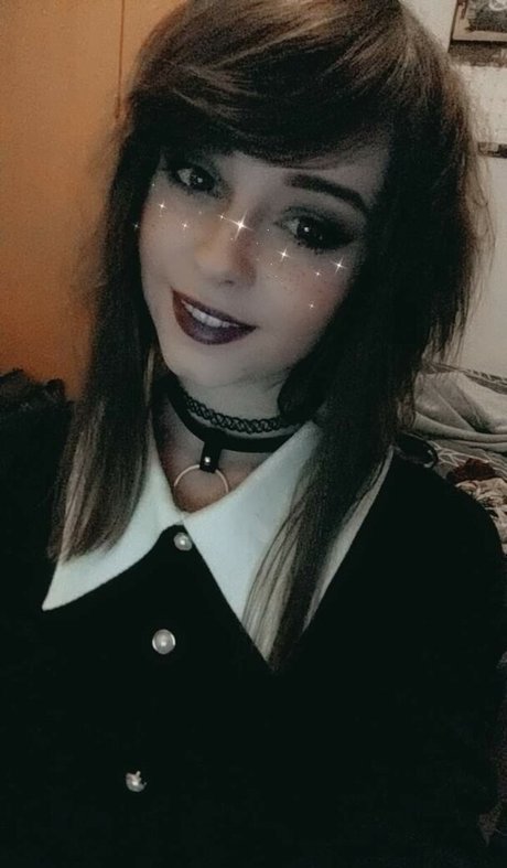 Apricot star free pic