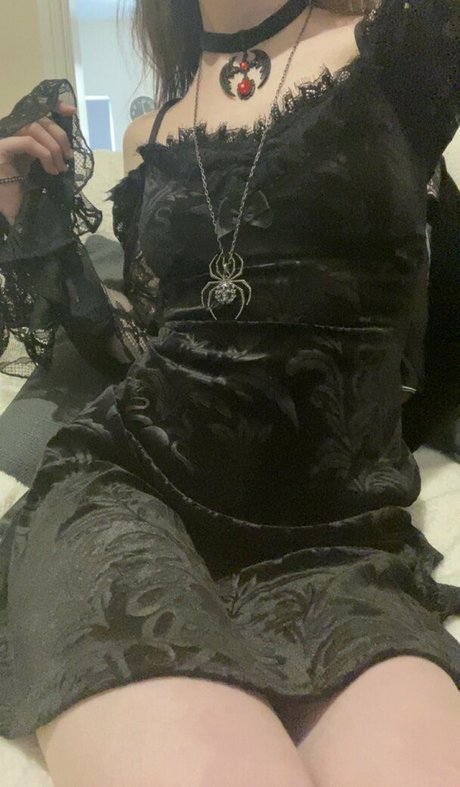 Apricot star picture