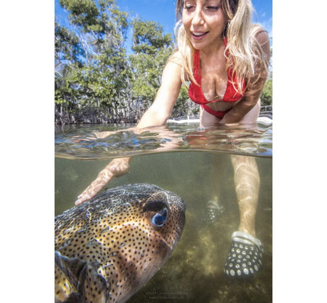 Gabby Nikolle erotic pornstar pics