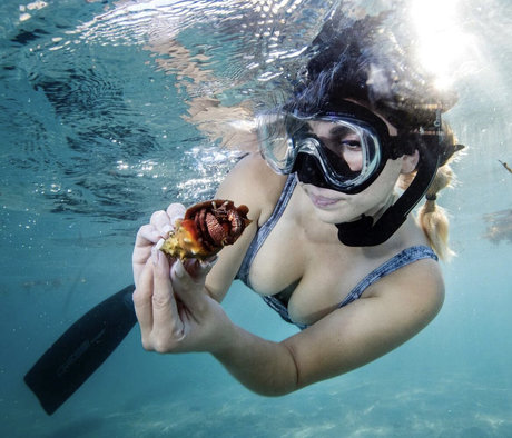 Gabby Nikolle high quality model gallery