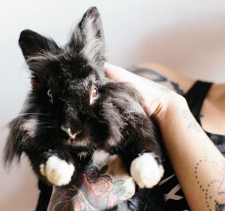 I Am The Daddy nude model archive