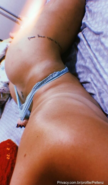 Pellenz star art gallery