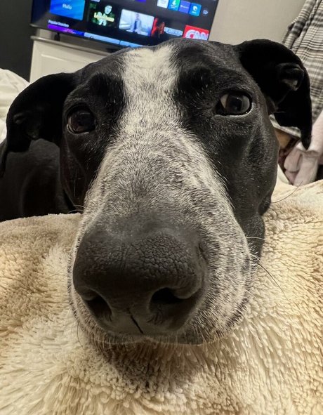 Leeza star xxx photo