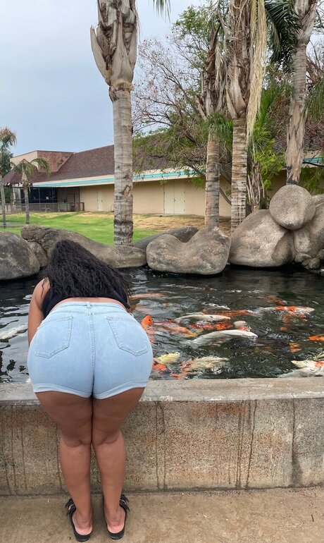 Your Fav Aqua art actress img