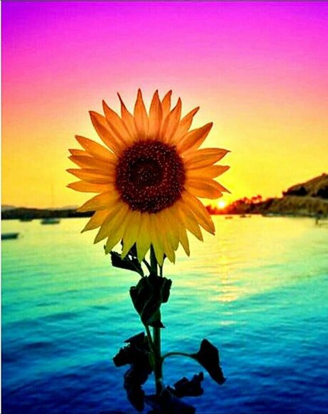 Chielsey_ beautiful actress images