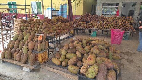 Endura soon pornstar image