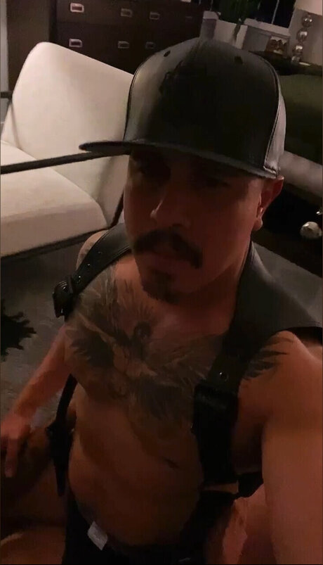 mykes d23 pornographic star gallery