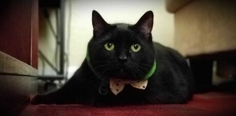 Wraith23 naked actress pic