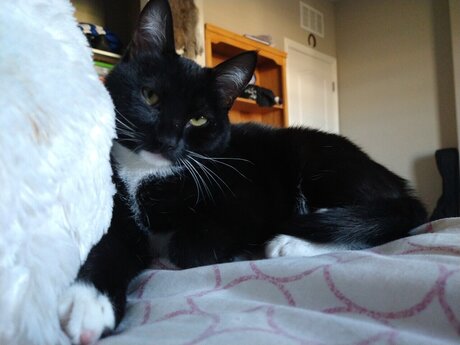 Liz 3 star sexy pics