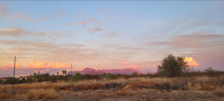 Citizen sex model galleries