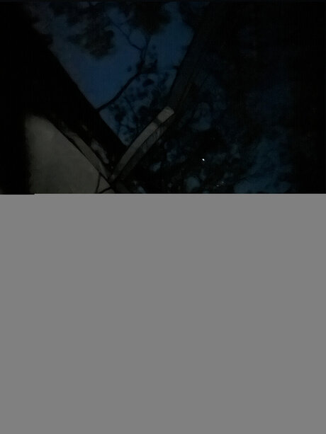 Ren amp lt3 xxx model archive