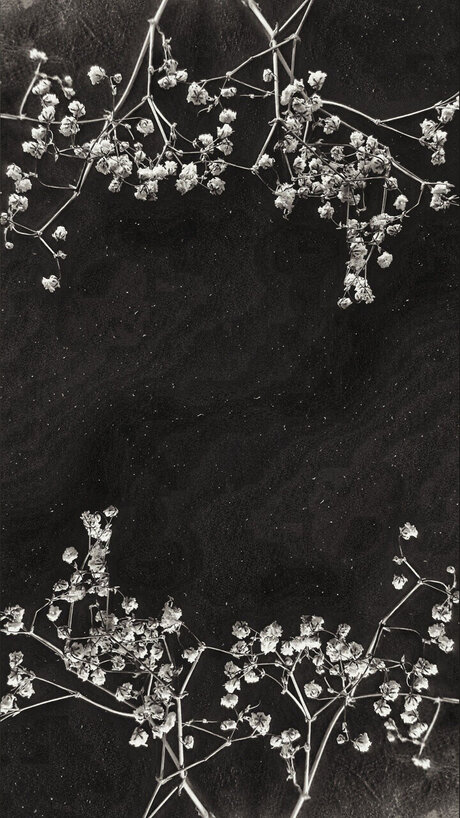 Cendre_ nude model pics