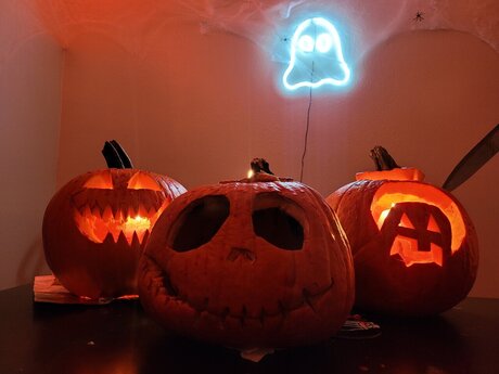 Belle Winter free actress picture