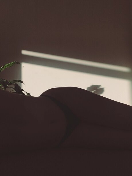 Aubrey Adam pornstar adult pic