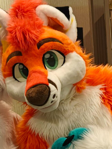 Zeke_ best star picture