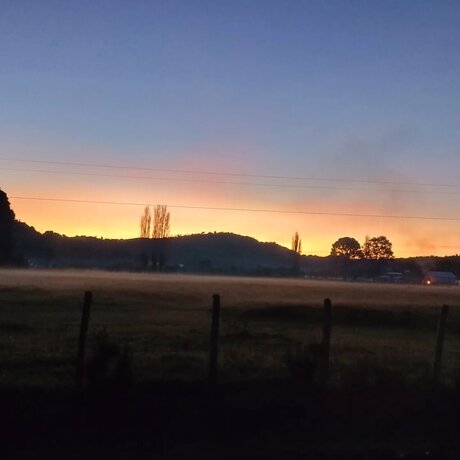 Tavita naked model pictures