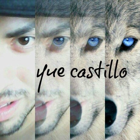 Orlando Castillo star porn img