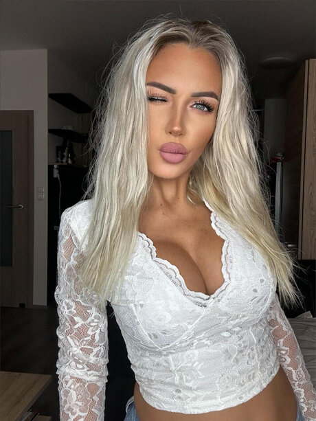 Jaru Blondie_ star top picture