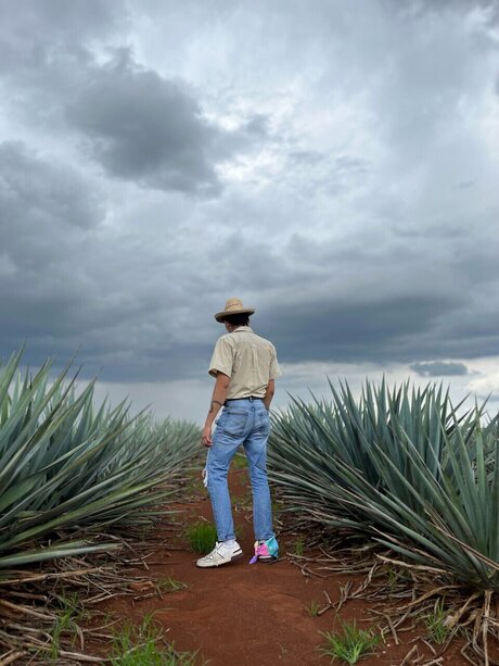 Aaron Abbey Figueroa model top photo