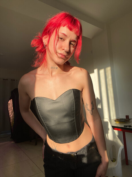 Delfi_ top model img