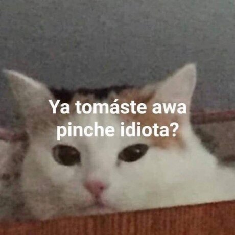 yasmin luna erotic actress galleries