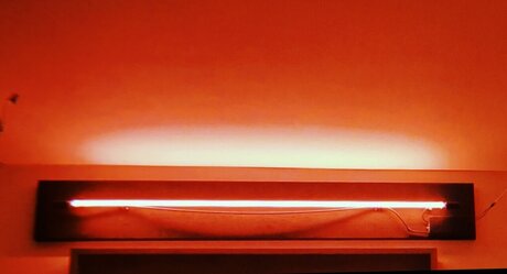 Ms Kuddo pornstar top picture