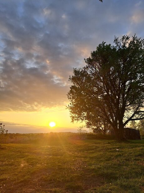 FunWFreckles star adult pic