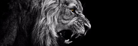 Nu Des Mondes high quality pornstar photos